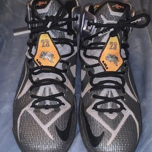 Nike Lebron 12 flights